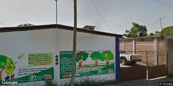 COMITÉ ESTATAL DE SANIDAD VEGETAL